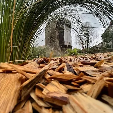A L'ancienne Ecole * Saint-Ours (Puy-de-Dome)