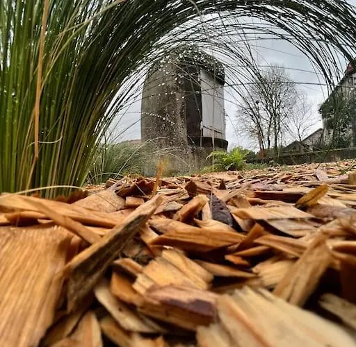 A L'ancienne Ecole * Saint-Ours (Puy-de-Dome)